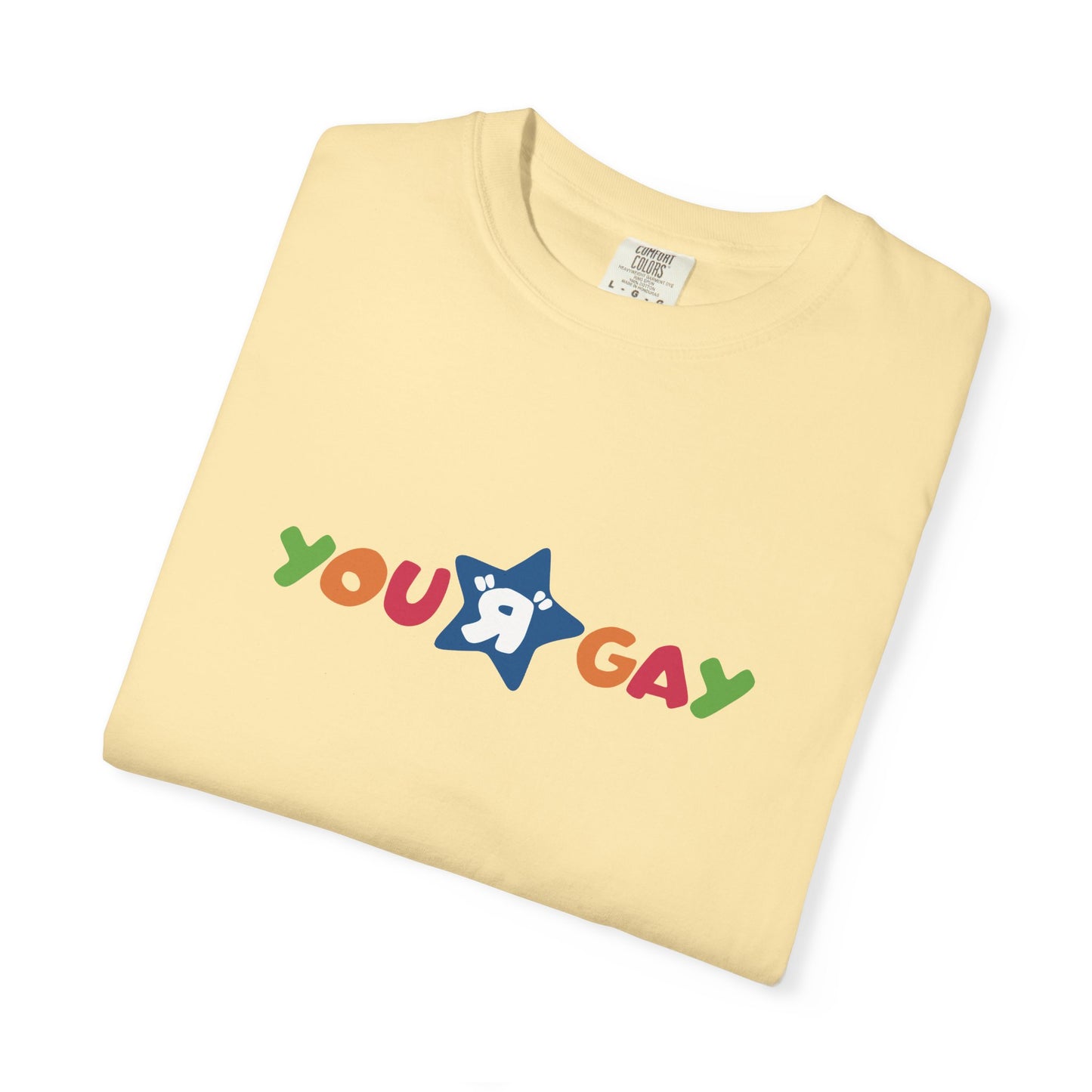 You R Gay Shirt