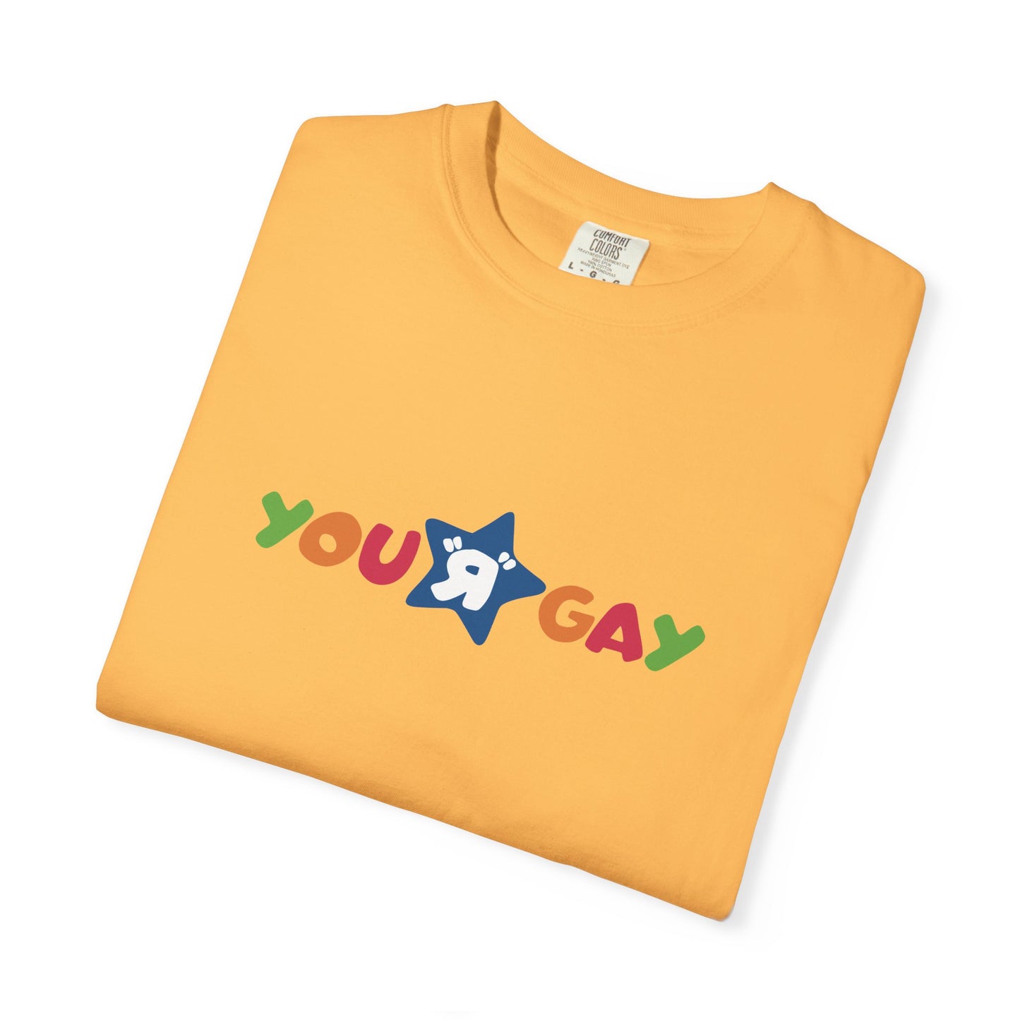 You R Gay Shirt