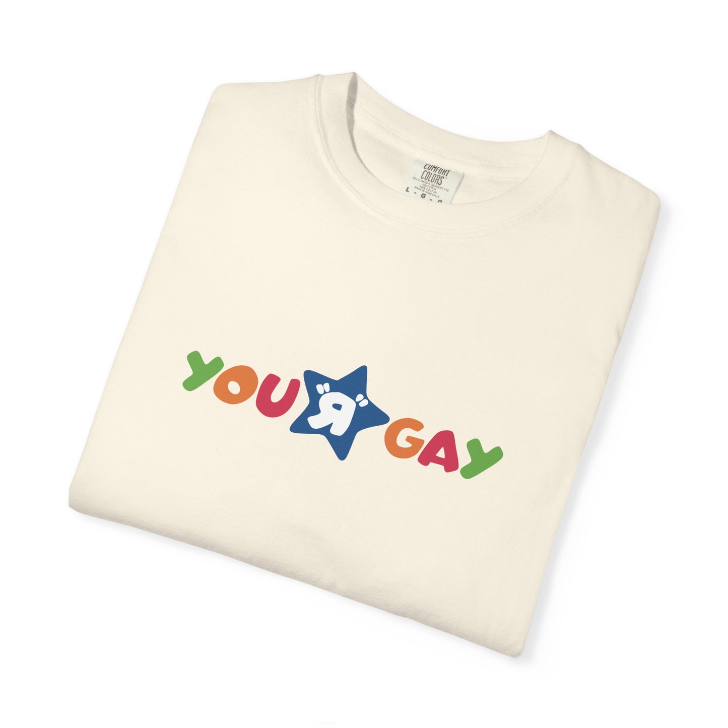 You R Gay Shirt
