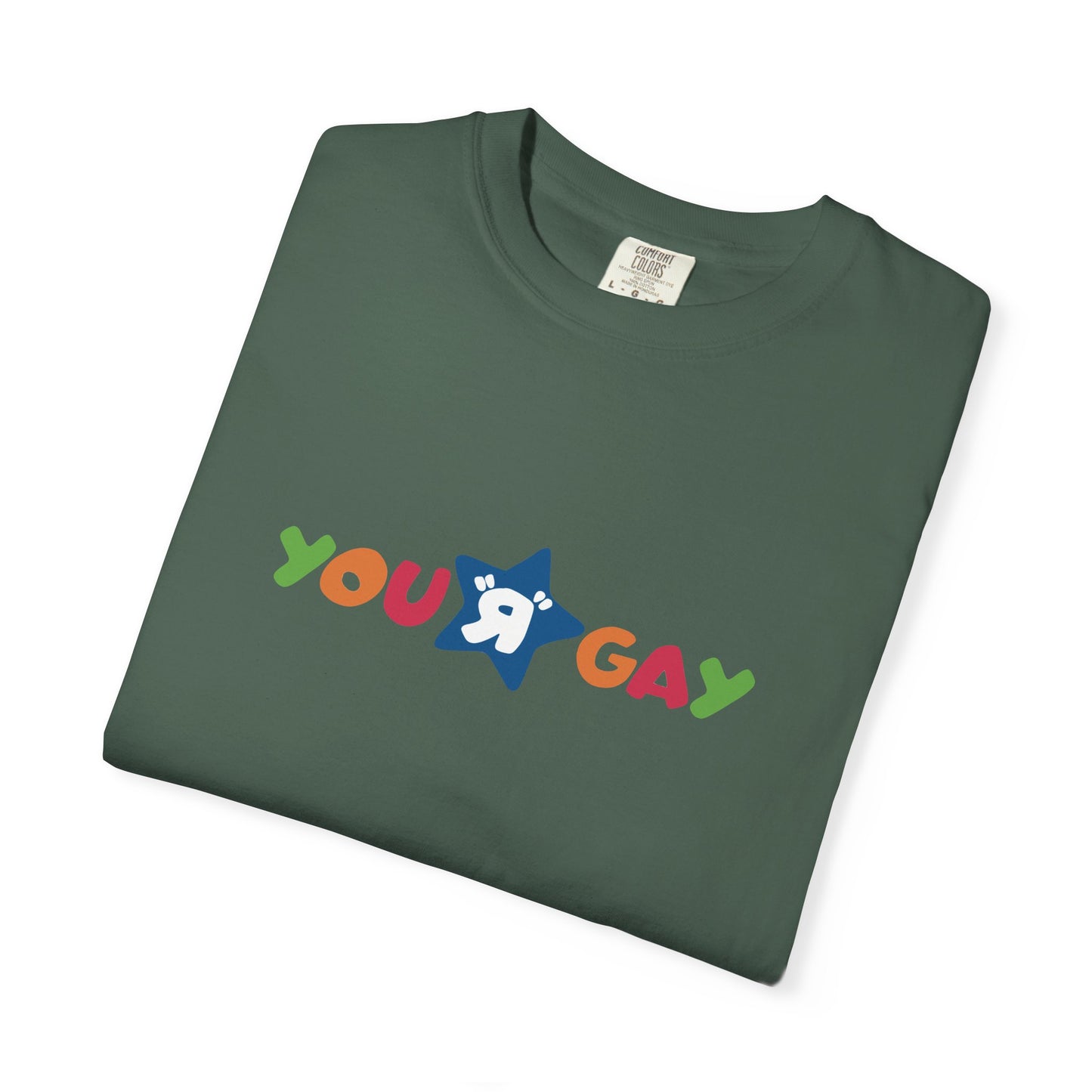 You R Gay Shirt